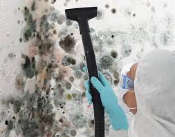 Forensic Mold Investigation in Brooklyn, WI